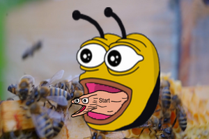 FUCK BEES cover photo