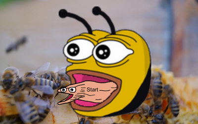 FUCK BEES cover photo